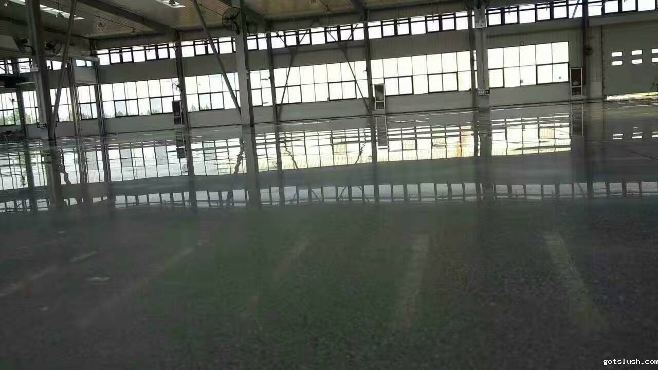 巴斯夫固化渗透地坪-地坪漆施工,聚氨酯砂浆地坪,华体会精品app,密封固化剂地坪,重防腐地坪,环氧自流平地坪